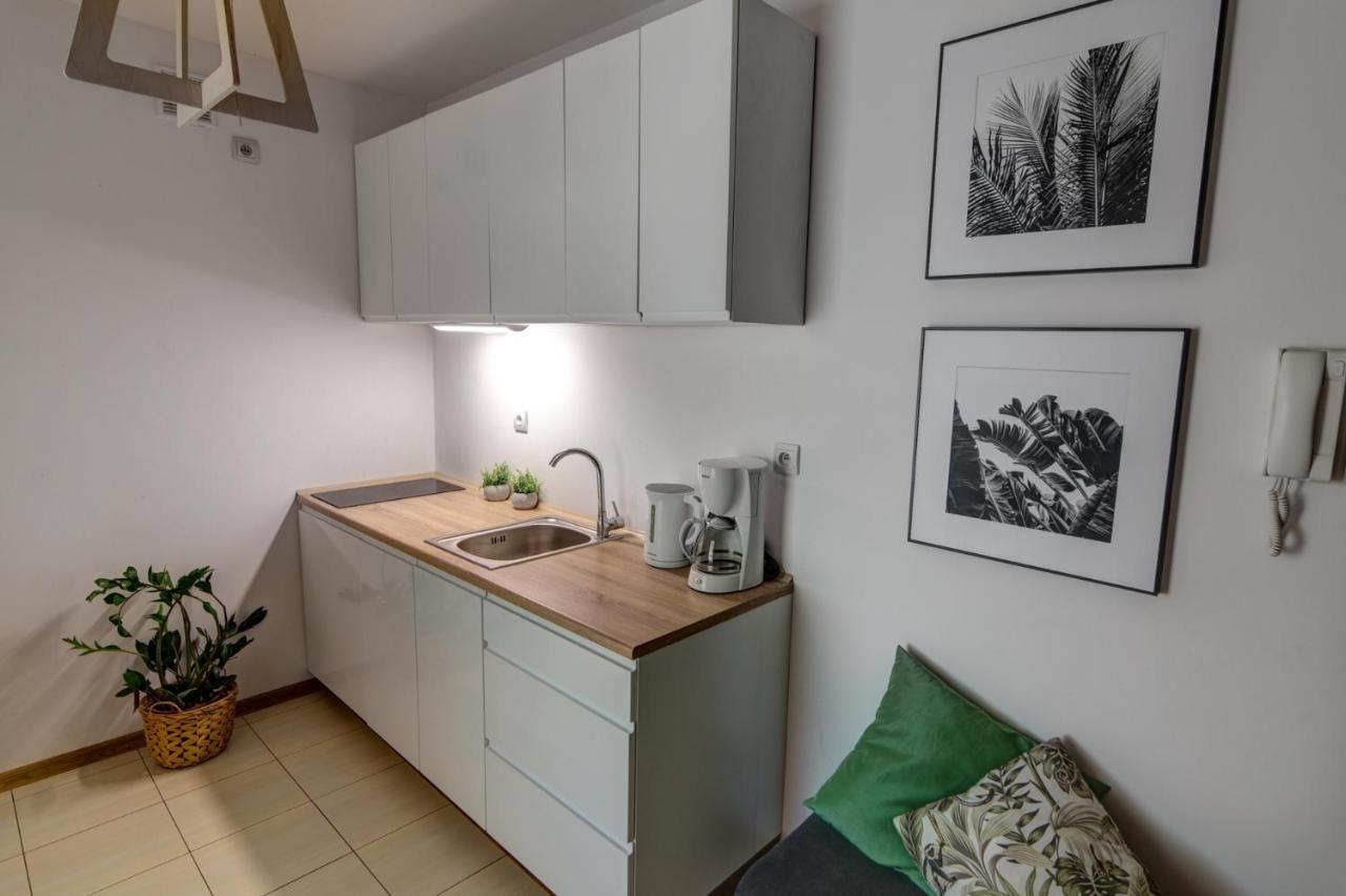 Krynica Apartamenty Rodzinny Apartament W Centrum 43 エクステリア 写真